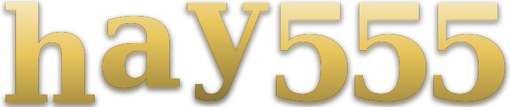 hay555 logo